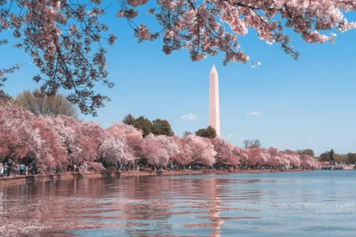 Washington, DC in Spring