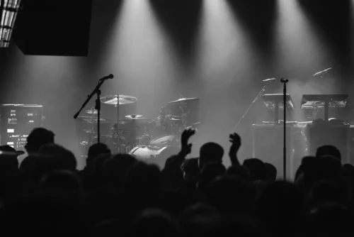 A crowd at a music concert